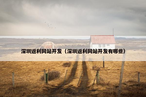 深圳返利网站开发（深圳返利网站开发有哪些）
