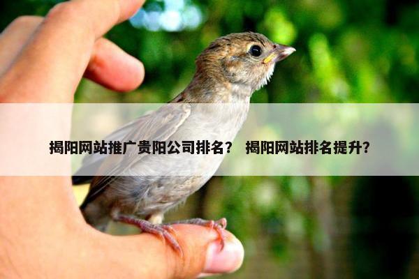 揭阳网站推广贵阳公司排名？ 揭阳网站排名提升？