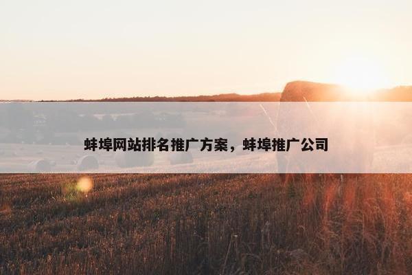 蚌埠网站排名推广方案，蚌埠推广公司