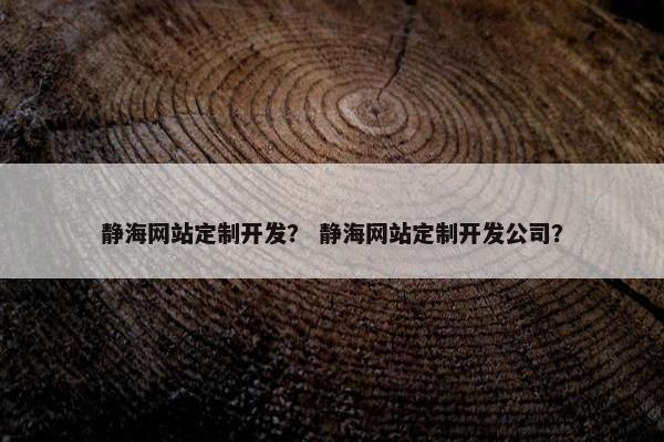 静海网站定制开发？ 静海网站定制开发公司？