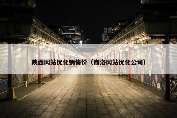 陕西网站优化销售价（商洛网站优化公司）