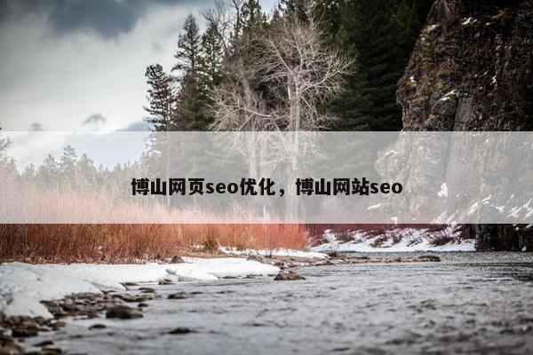 博山网页seo优化，博山网站seo