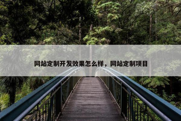 网站定制开发效果怎么样，网站定制项目