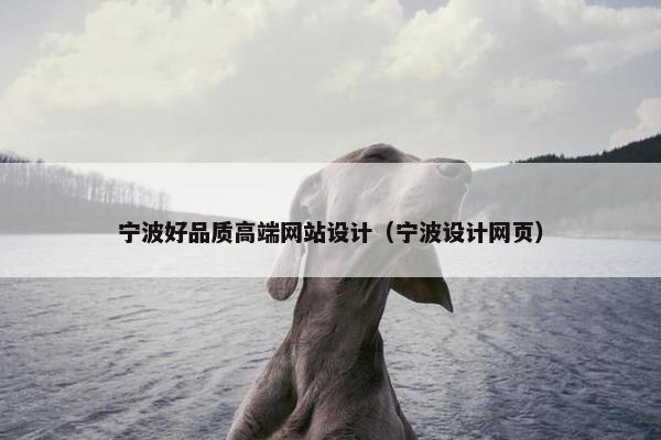 宁波好品质高端网站设计（宁波设计网页）