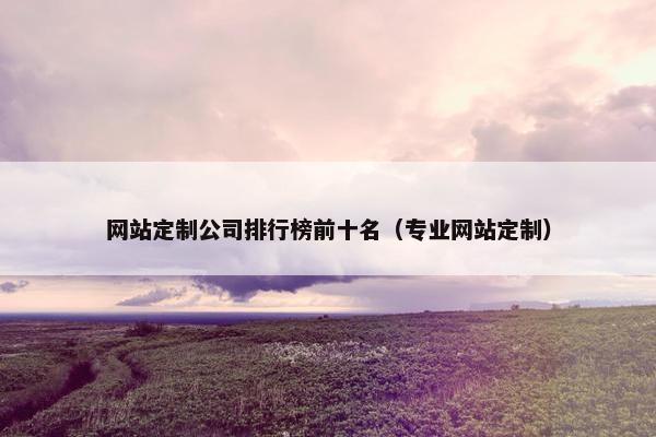 网站定制公司排行榜前十名（专业网站定制）