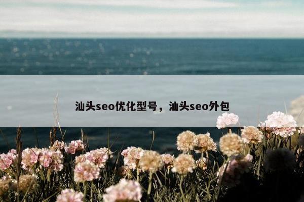 汕头seo优化型号，汕头seo外包