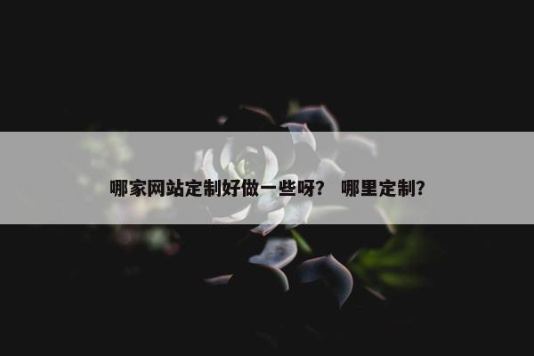 哪家网站定制好做一些呀？ 哪里定制？