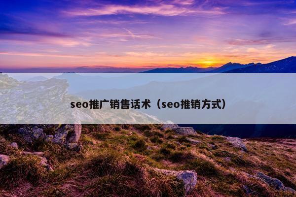 seo推广销售话术（seo推销方式）