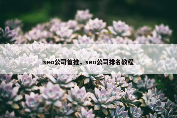 seo公司首推，seo公司排名教程