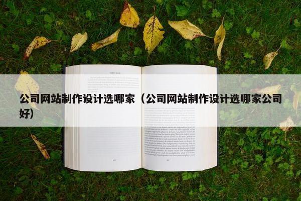 公司网站制作设计选哪家（公司网站制作设计选哪家公司好）
