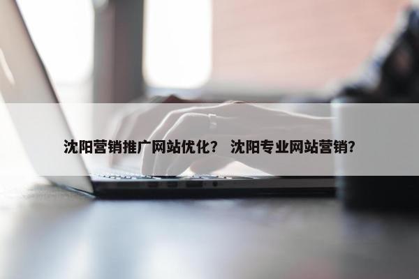 沈阳营销推广网站优化？ 沈阳专业网站营销？