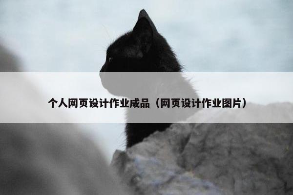 个人网页设计作业成品（网页设计作业图片）