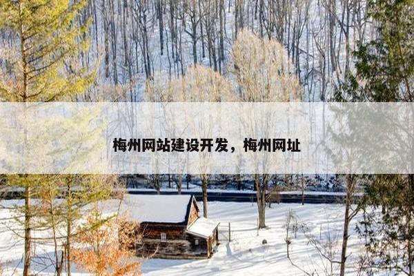 梅州网站建设开发，梅州网址