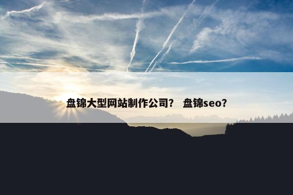 盘锦大型网站制作公司？ 盘锦seo？