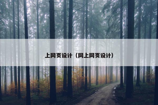 上网页设计（网上网页设计）