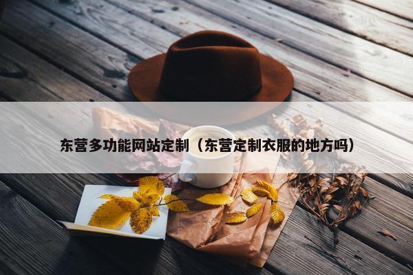 东营多功能网站定制（东营定制衣服的地方吗）