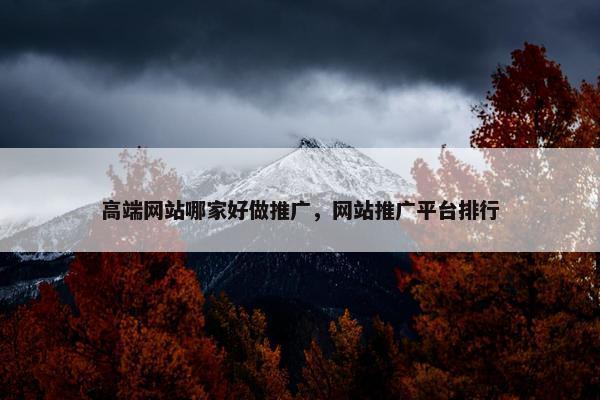 高端网站哪家好做推广，网站推广平台排行