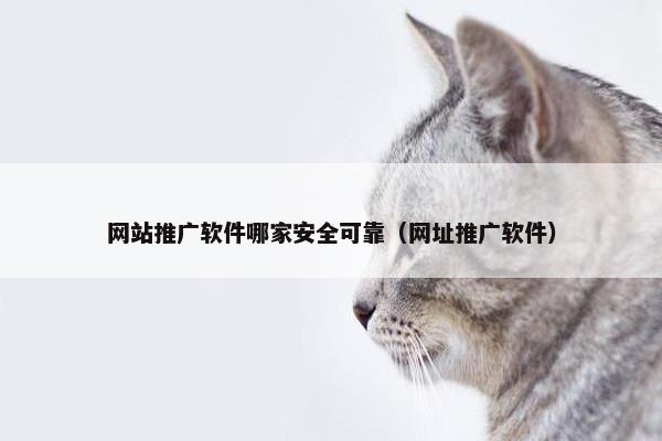 网站推广软件哪家安全可靠（网址推广软件）