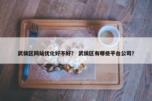 武侯区网站优化好不好？ 武侯区有哪些平台公司？