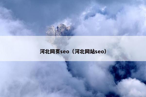 河北网页seo（河北网站seo）