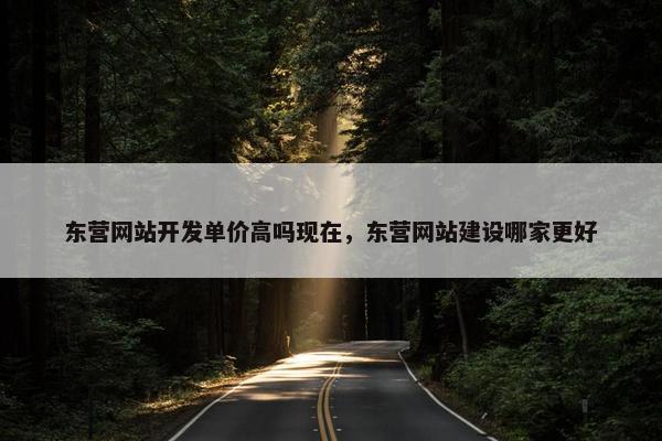 东营网站开发单价高吗现在，东营网站建设哪家更好