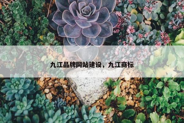 九江品牌网站建设，九江商标