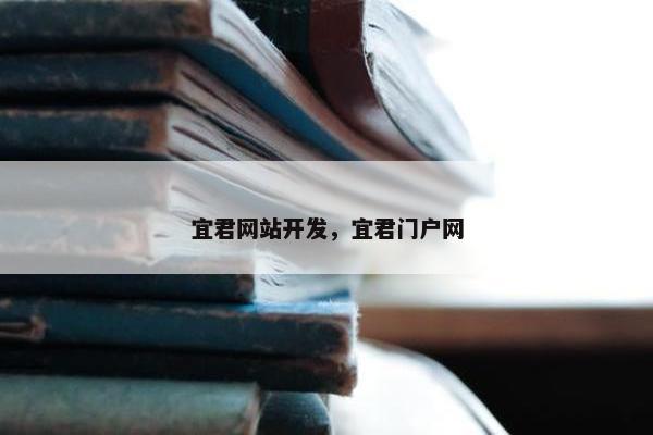 宜君网站开发，宜君门户网