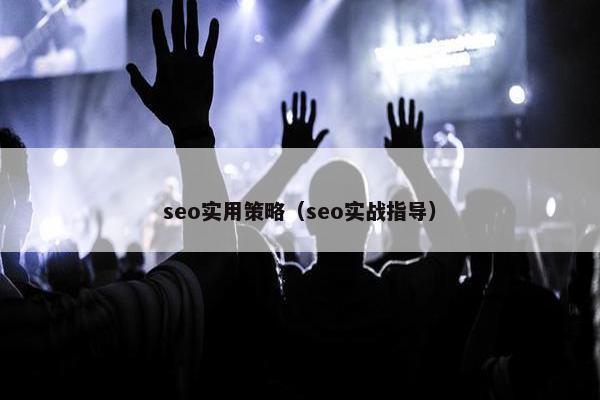 seo实用策略（seo实战指导）