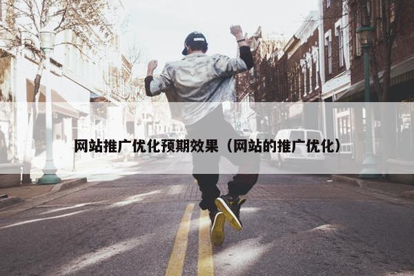 网站推广优化预期效果（网站的推广优化）