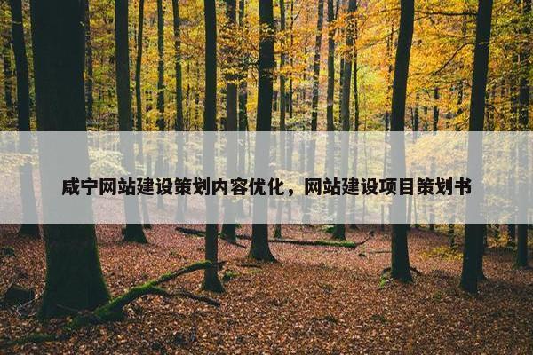 咸宁网站建设策划内容优化，网站建设项目策划书