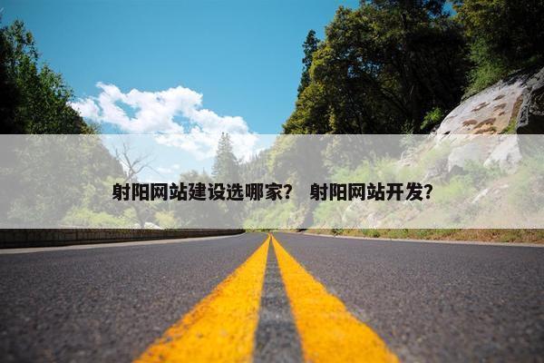 射阳网站建设选哪家？ 射阳网站开发？