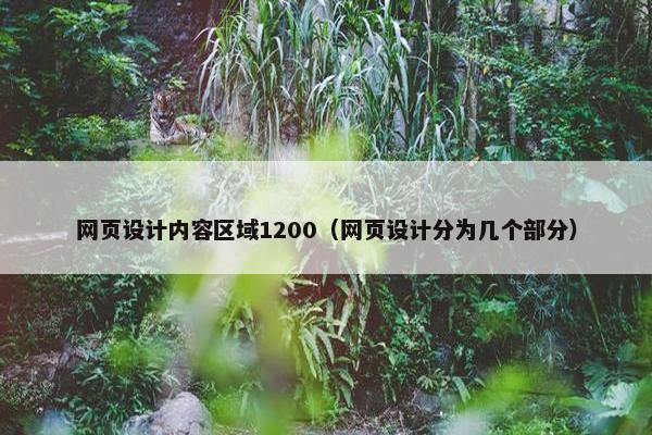 网页设计内容区域1200（网页设计分为几个部分）