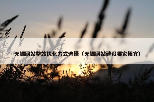 无锡网站整站优化方式选择（无锡网站建设哪家便宜）