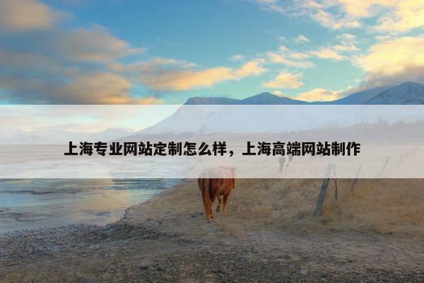 上海专业网站定制怎么样，上海高端网站制作