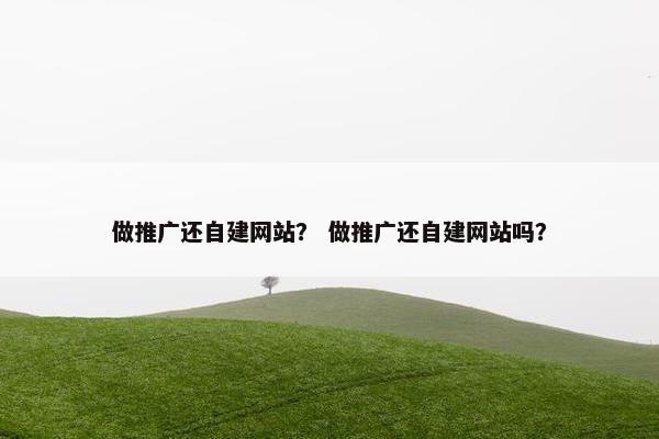 做推广还自建网站？ 做推广还自建网站吗？