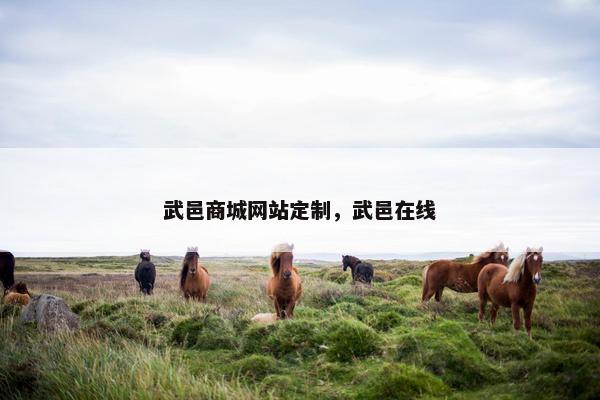 武邑商城网站定制，武邑在线