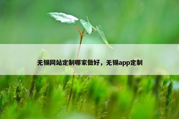 无锡网站定制哪家做好，无锡app定制