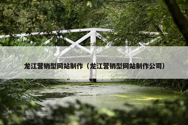 龙江营销型网站制作（龙江营销型网站制作公司）