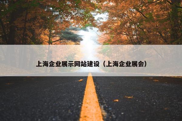 上海企业展示网站建设（上海企业展会）