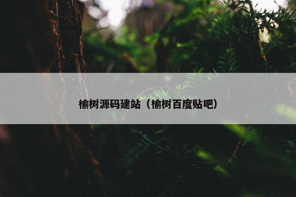 榆树源码建站（榆树百度贴吧）