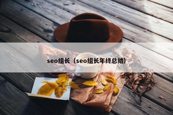 seo组长（seo组长年终总结）