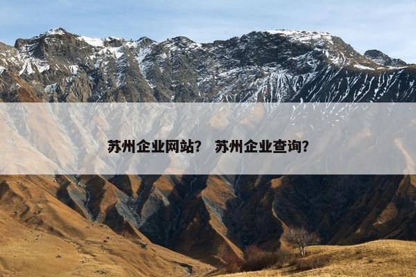 苏州企业网站？ 苏州企业查询？