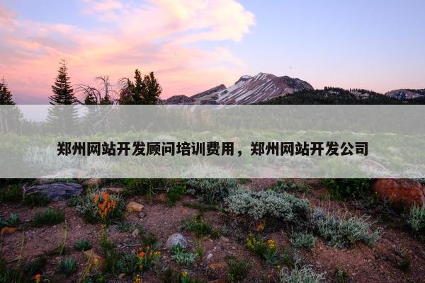 郑州网站开发顾问培训费用，郑州网站开发公司