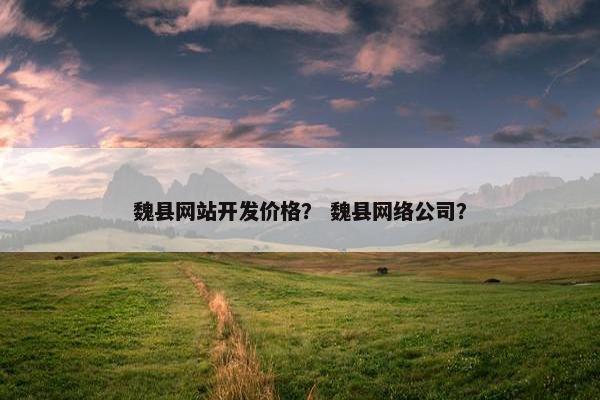 魏县网站开发价格？ 魏县网络公司？