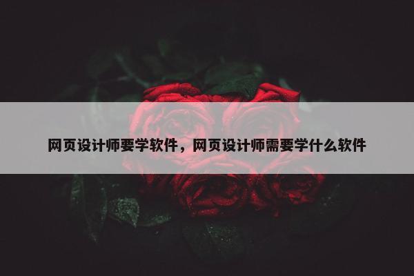 网页设计师要学软件，网页设计师需要学什么软件