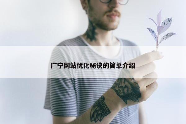 广宁网站优化秘诀的简单介绍