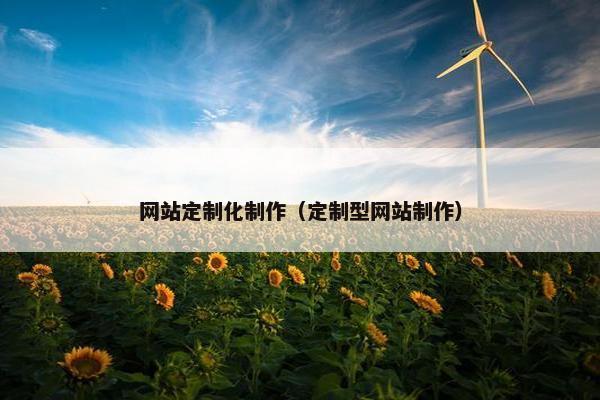 网站定制化制作（定制型网站制作）