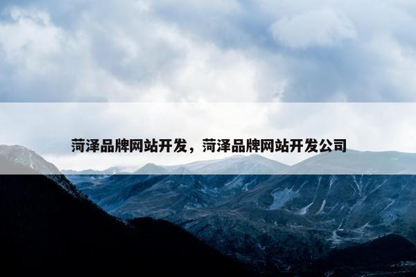 菏泽品牌网站开发，菏泽品牌网站开发公司