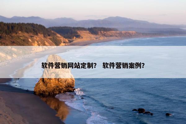 软件营销网站定制？ 软件营销案例？