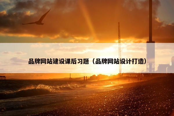 品牌网站建设课后习题（品牌网站设计打造）